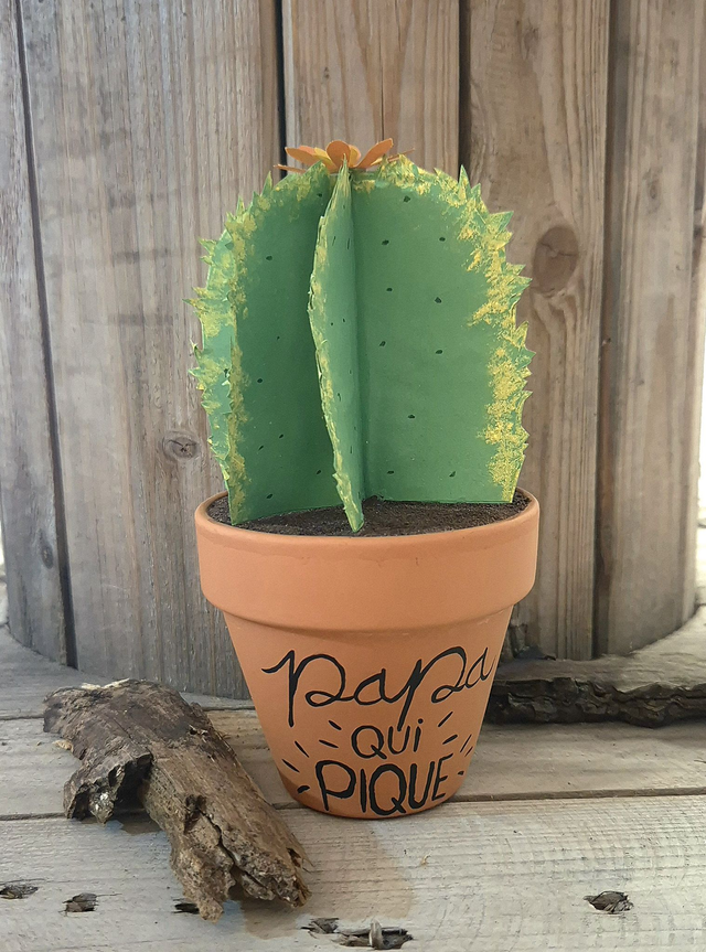 Baby plante "Papa qui pique"