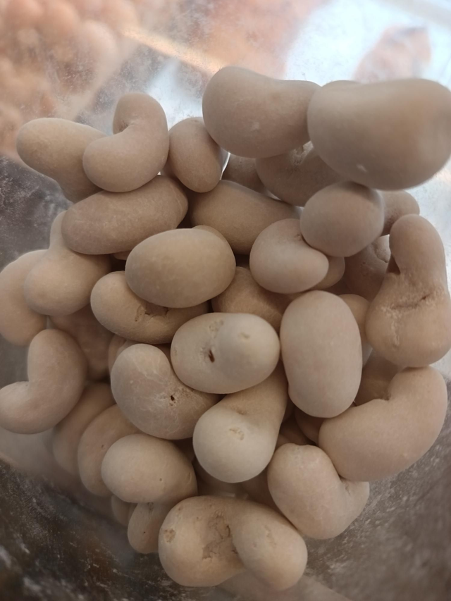 Cajou au wasabi bio100g