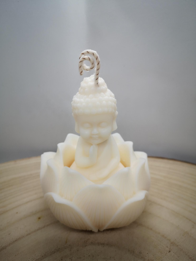 Boudah sur son nénuphar 