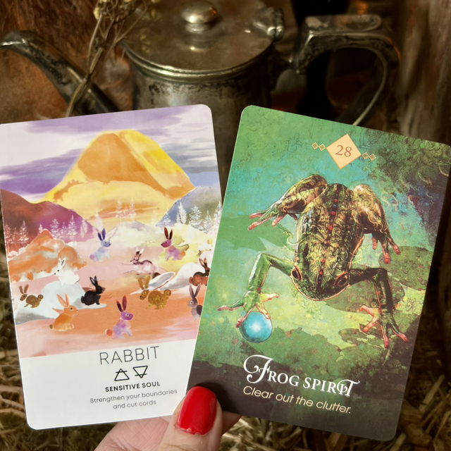 MAGPIE 40-CARD ORACLE DECK