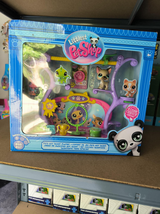 COFFRET DE JEUX PETS GOT TALENT 