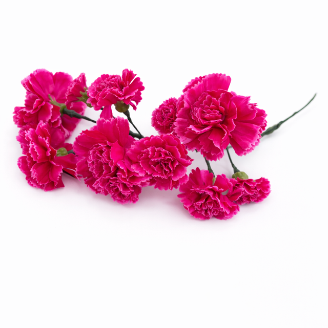 Tocado artesanal claveles y clavellinas fucsia 