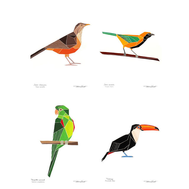 Conjunto de reproduções "AVES BRASILEIRAS - série 5 (Inhotim) "