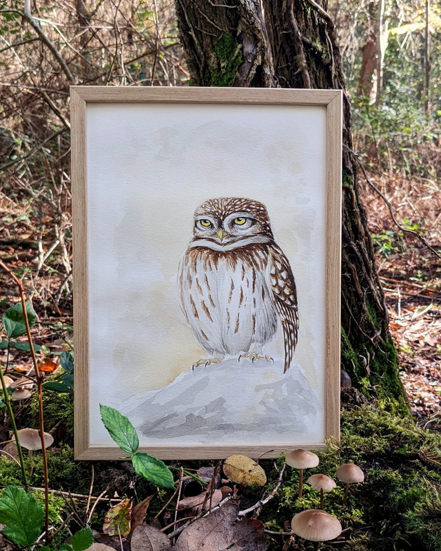 "Bougonne" - Aquarelle originale