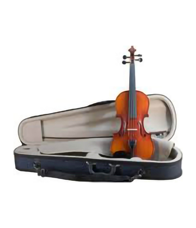 Bruck Violino P4010S