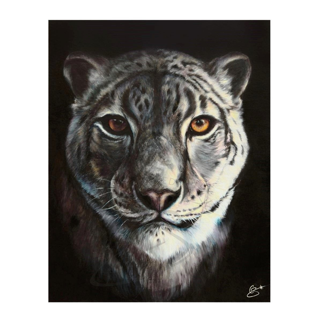 Panthère des Neiges