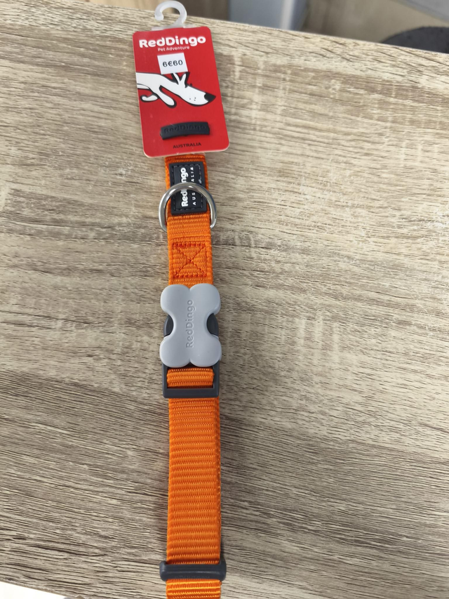 Collier chien uni orange 