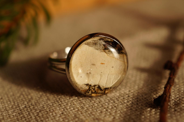 Bague - Bouleau clair