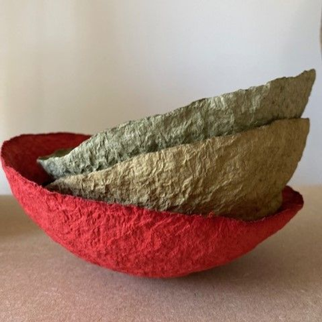 Coupelles fines en papier mâché  