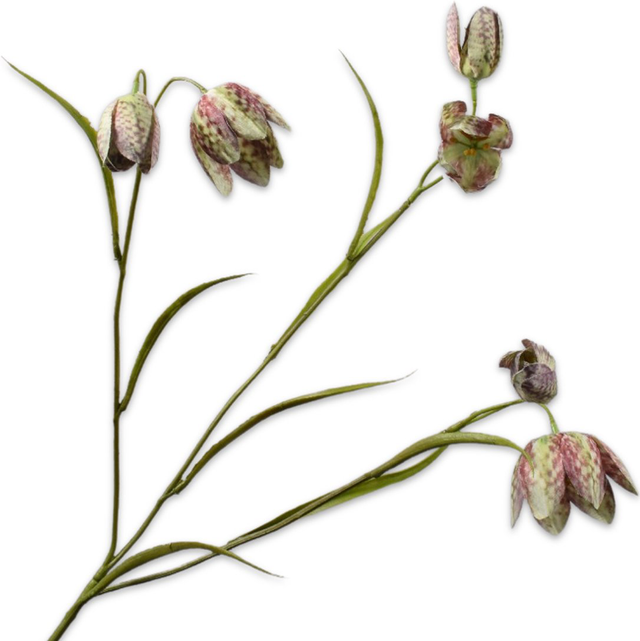 Silk-Ka Fritillaria Tak Groen 64cm