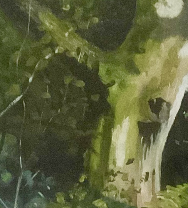 Burton Bushes woodland, Beverley. Framed A3 print from my Burton Bushes exhibition.