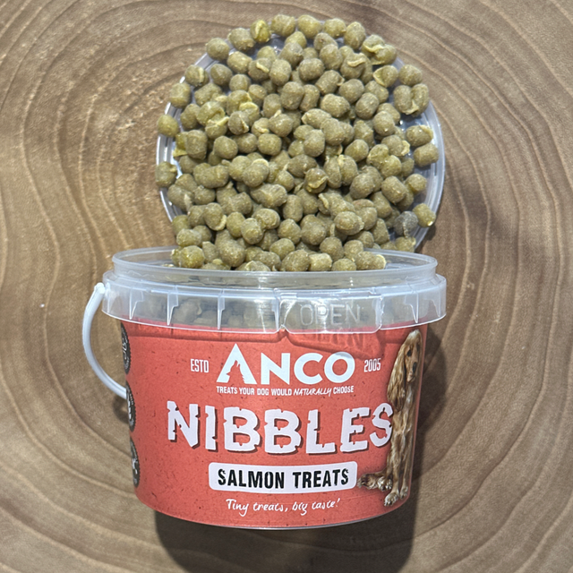 Salmon Nibbles 