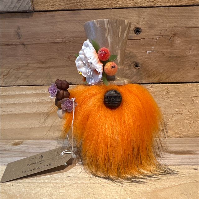 Autumn Gonk 