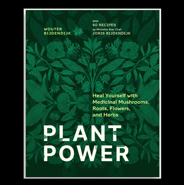 Plant Power book in English (available now)
