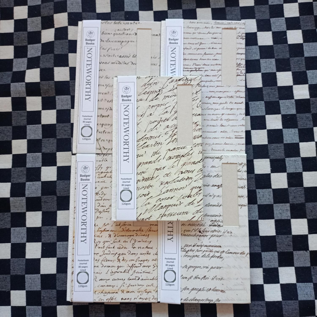 Noteworthy - Handbook-sized lined journal 