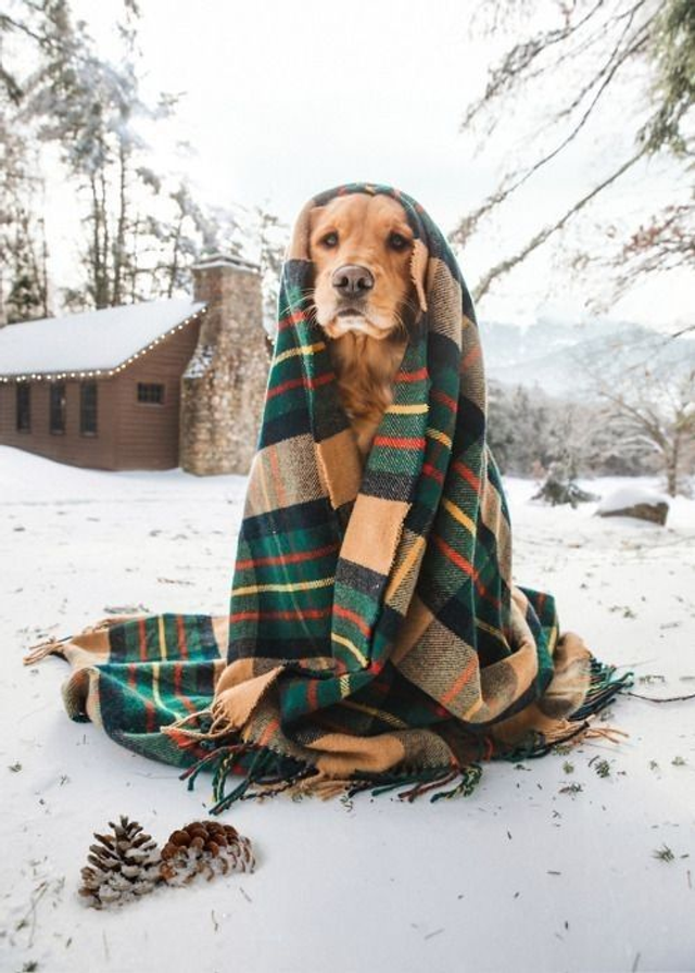 Kasvupolku™ – Pennun kasvu- ja ruokintaohjelma