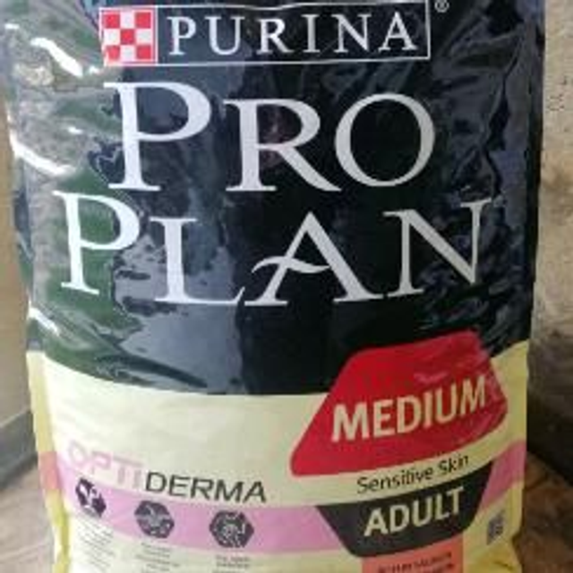 adult medium 18kg saumon