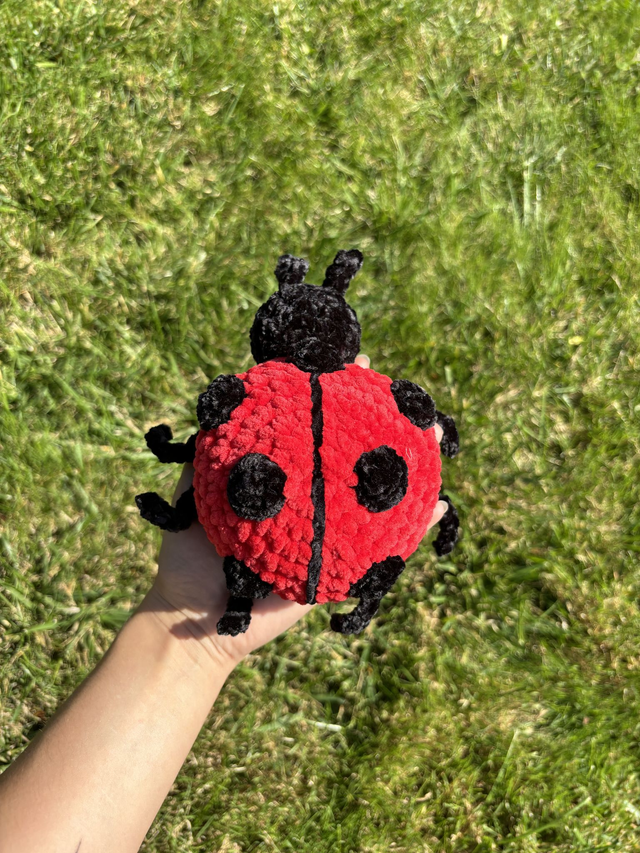 Lola la Coccinelle