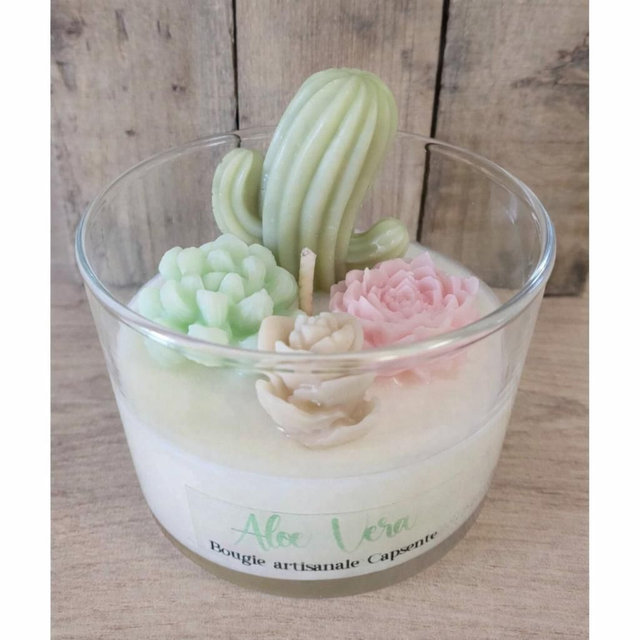 Bougie terrarium Aloe Vera