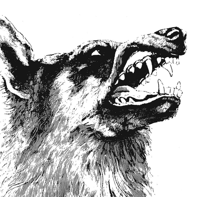 Crippled Black Phoenix - I, Vigilante [LP]/VSN