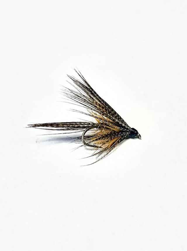 GOLDEN OLIVE DABBLER