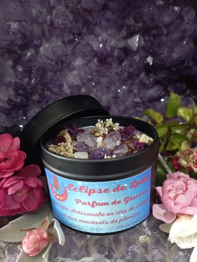 Éclipse de lune 🟣