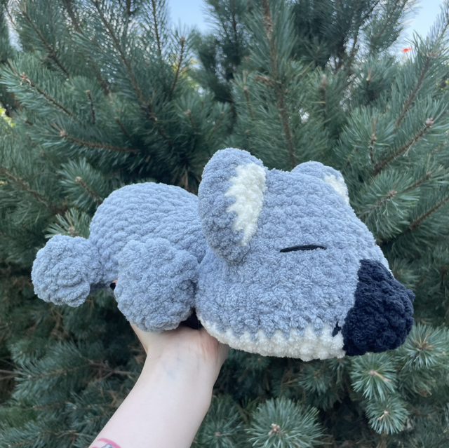 Koala endormi