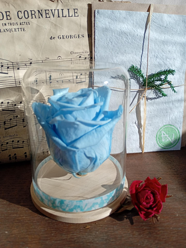 S05 unique rose bleu