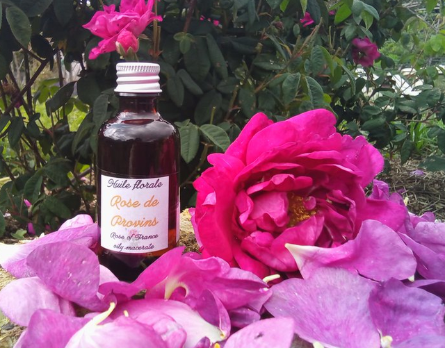 Huile de Rose de Provins (50ml)