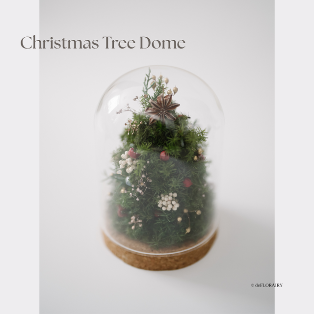 Christmas Tree Dome | Preserved Flower Glass Dome | Christmas Gift | UK-Wide Delivery