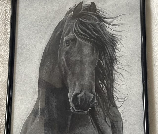 Pasteltekening Fries paard