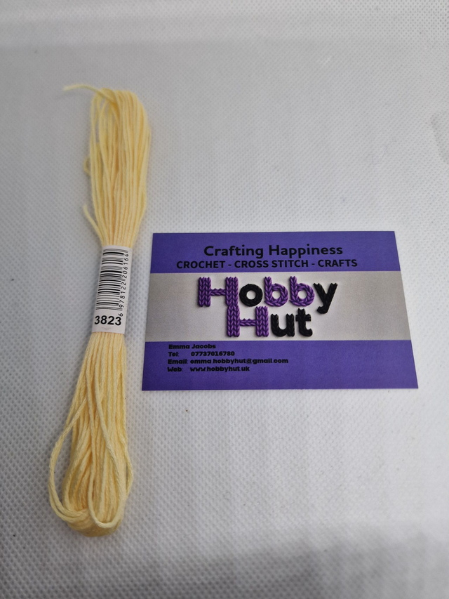 Embroidery Thread - 3823