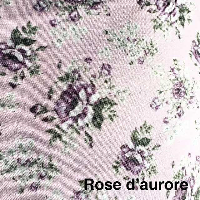 Rose d'aurore