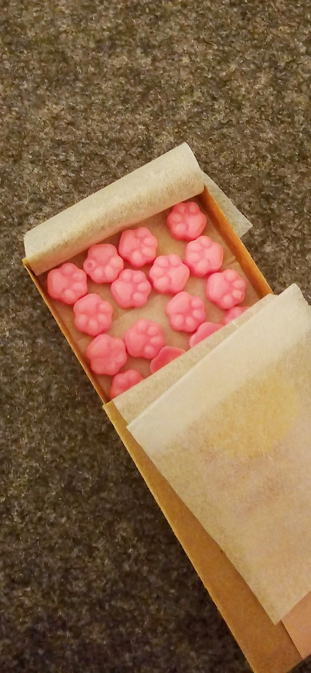 Pawsome Wax Melt (Box 20Stk.)