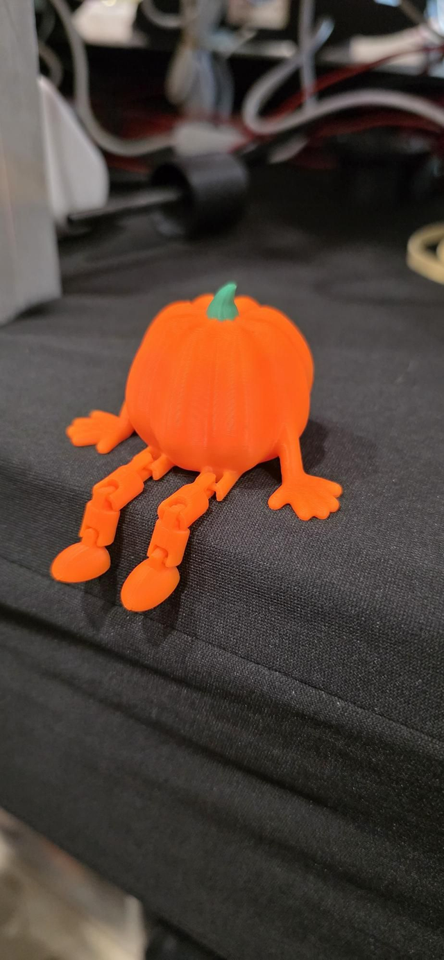 Flexi citrouille