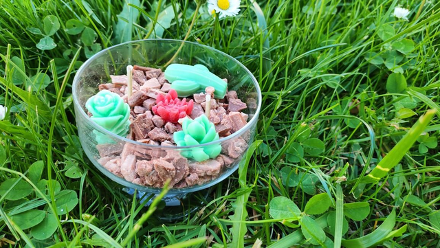 Petite bougie terrarium non parfumé 