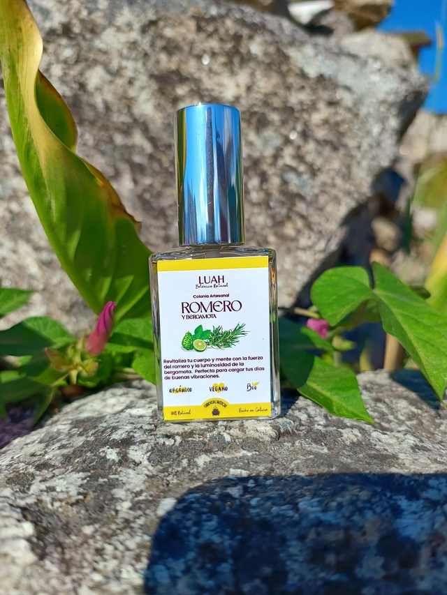 Colonia artesanal de romero y bergamota.
