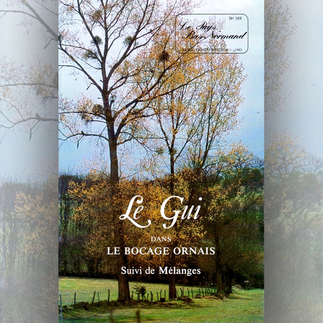 N°169 : Le gui dans le Bocage ornais
