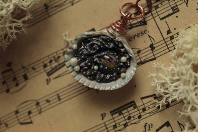 Coquillage Métamorphe- n°12