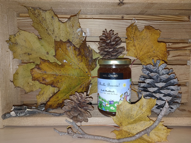 Miel de Forêt