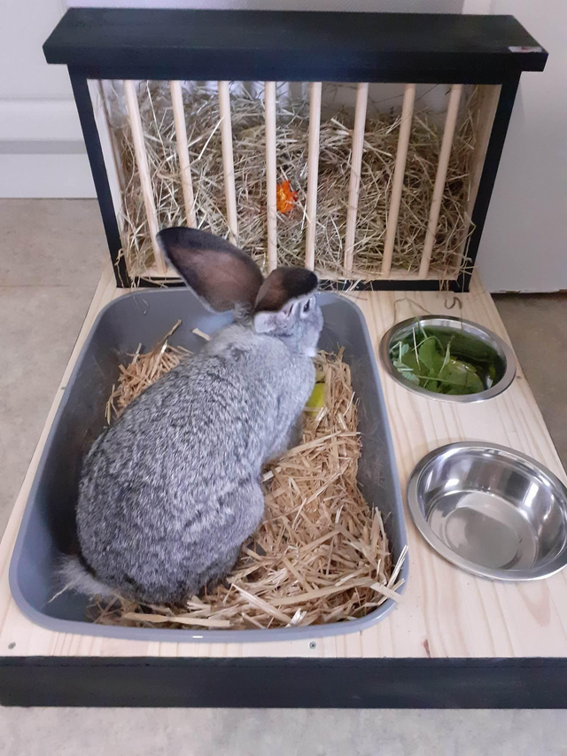 Lapi'Box XXL + Gamelles / Longueur 