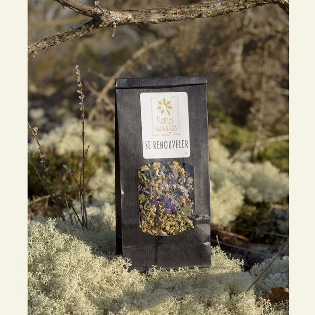 Tisane Se Renouveler 