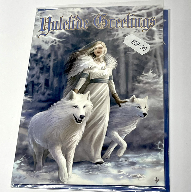 Anne Stokes Greetings Card - Winter Guardian