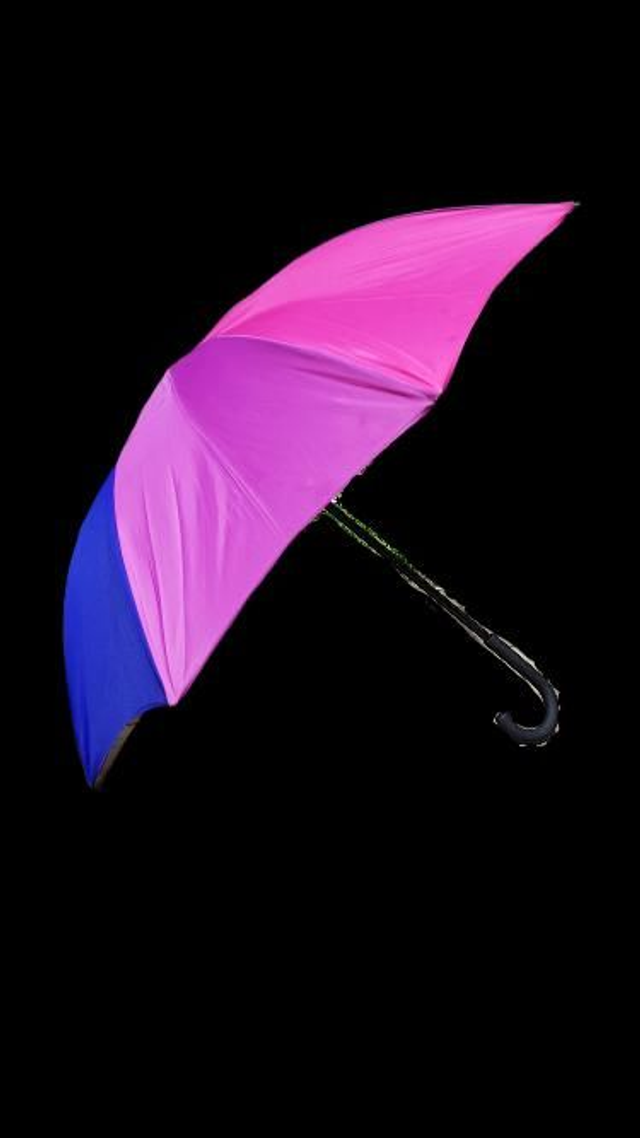 Umbrella/Parasol
