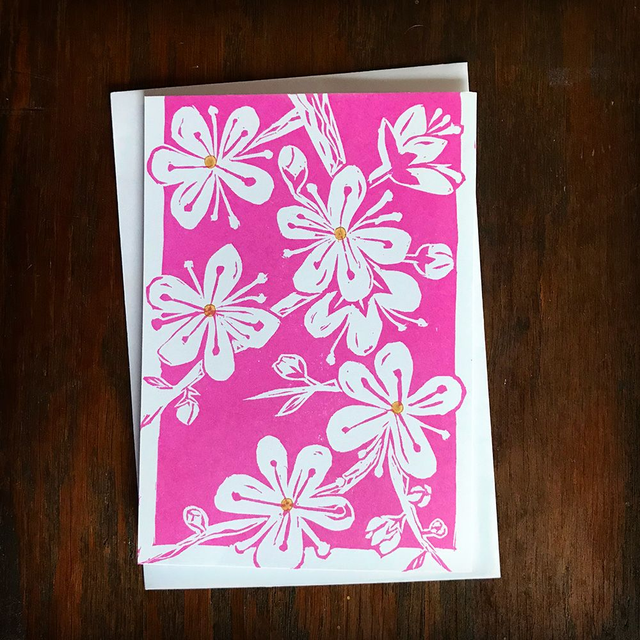 Cherry Blossom Blooms