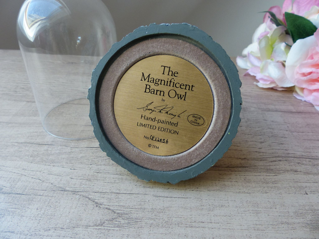 Sculpture en résine peinte – La magnifique chouette effraie – George McMonigle – Édition limitée The Franklin Mint – Sous cloche en verre