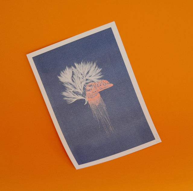 Affichette A4 Abysses - physalie -