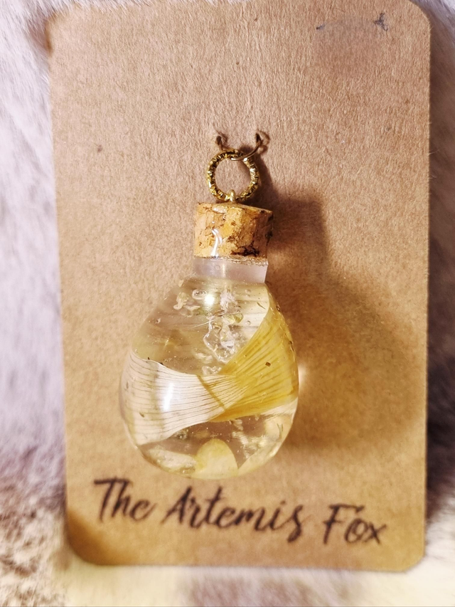 Le Pendentif Potion #52 - Joie