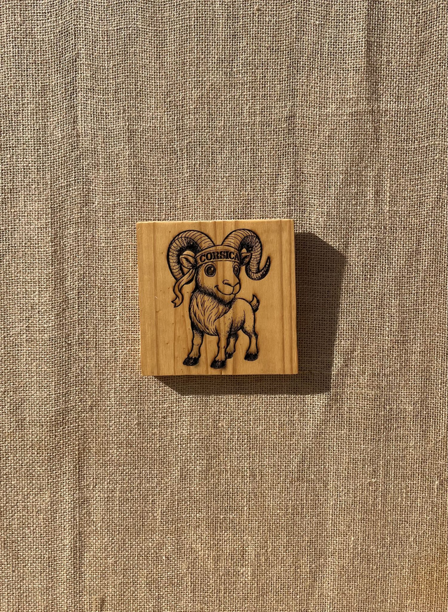 Cadre mouflon corsica