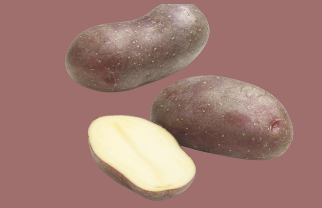 Pomme de terre CHEYENNE